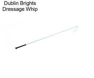 Dublin Brights Dressage Whip