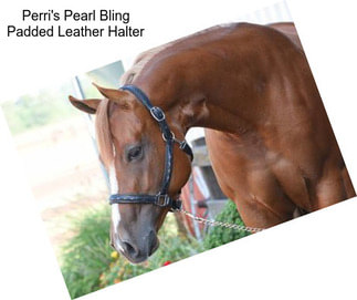 Perri\'s Pearl Bling Padded Leather Halter