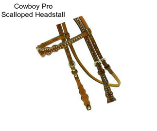 Cowboy Pro Scalloped Headstall