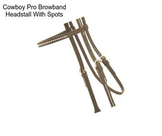 Cowboy Pro Browband Headstall With Spots