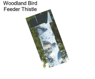 Woodland Bird Feeder Thistle