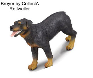 Breyer by CollectA Rottweiler