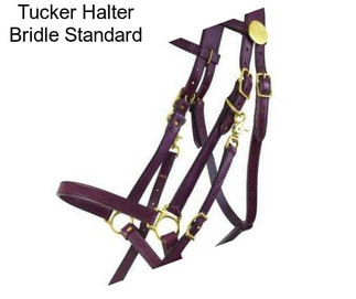 Tucker Halter Bridle Standard