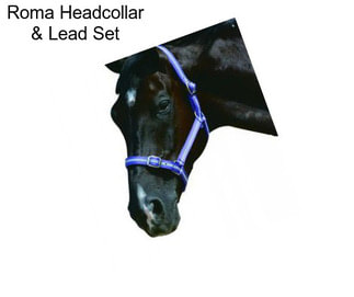 Roma Headcollar & Lead Set