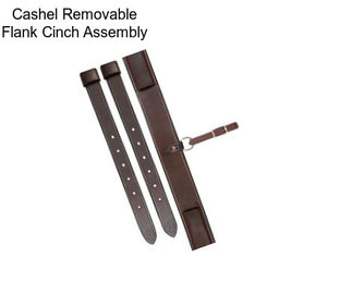 Cashel Removable Flank Cinch Assembly