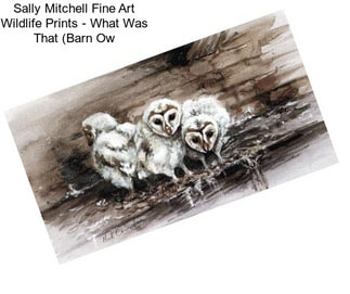 Sally Mitchell Fine Art Wildlife Prints - What Was That (Barn Ow