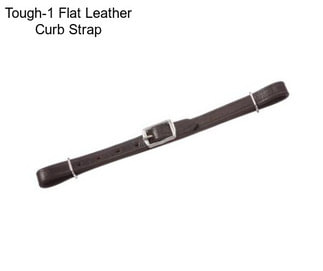 Tough-1 Flat Leather Curb Strap