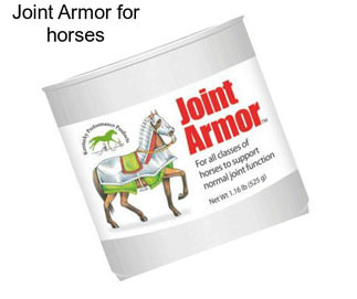 Joint Armor for horses