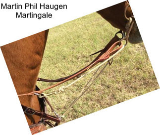 Martin Phil Haugen Martingale