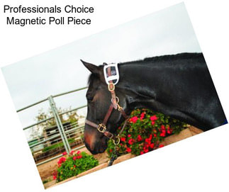 Professionals Choice Magnetic Poll Piece