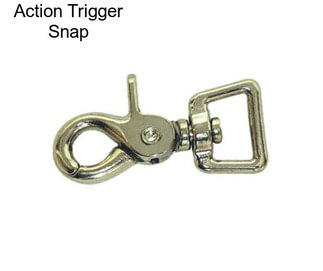 Action Trigger Snap
