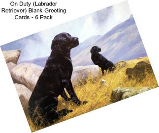 On Duty (Labrador Retriever) Blank Greeting Cards - 6 Pack