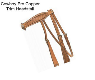 Cowboy Pro Copper Trim Headstall