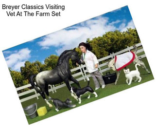 Breyer Classics Visiting Vet At The Farm Set