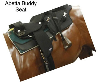 Abetta Buddy Seat