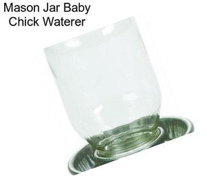 Mason Jar Baby Chick Waterer
