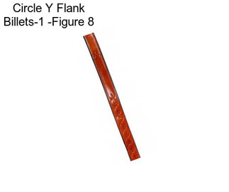 Circle Y Flank Billets-1 -Figure 8