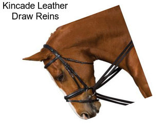 Kincade Leather Draw Reins