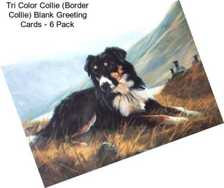 Tri Color Collie (Border Collie) Blank Greeting Cards - 6 Pack