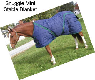 Snuggie Mini Stable Blanket