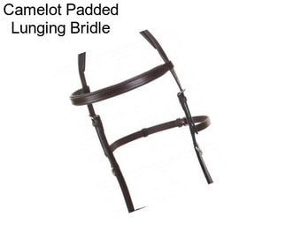 Camelot Padded Lunging Bridle