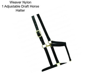 Weaver Nylon 1\