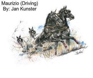 Maurizio (Driving) By: Jan Kunster