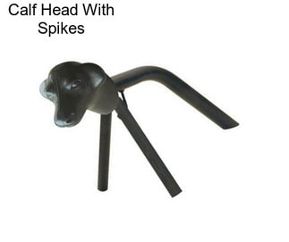 Calf Head With Spikes