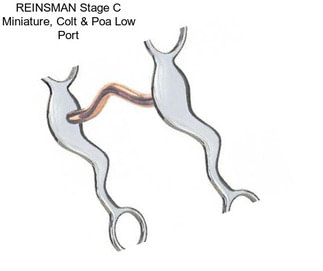 REINSMAN Stage C Miniature, Colt & Poa Low Port