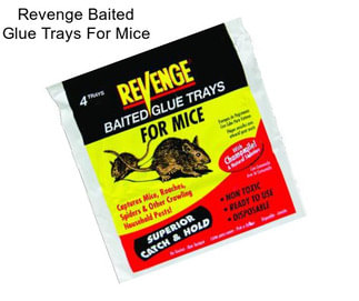 Revenge Baited Glue Trays For Mice