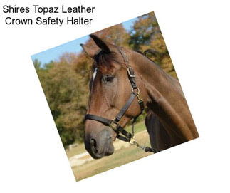 Shires Topaz Leather Crown Safety Halter