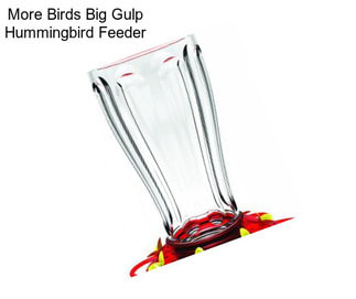 More Birds Big Gulp Hummingbird Feeder