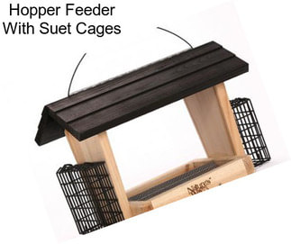 Hopper Feeder With Suet Cages