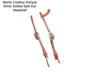 Martin Cowboy Antique Silver Dotted Split Ear Headstall