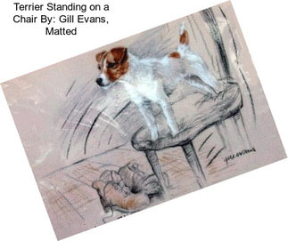 Terrier Standing on a Chair By: Gill Evans, Matted