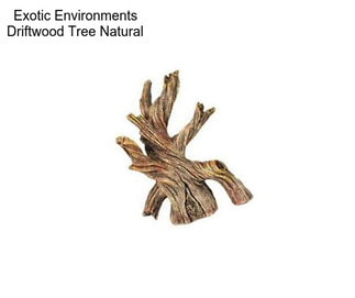 Exotic Environments Driftwood Tree Natural