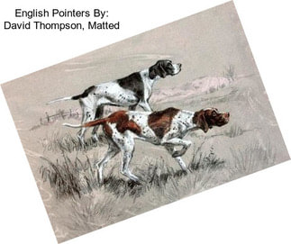 English Pointers By: David Thompson, Matted