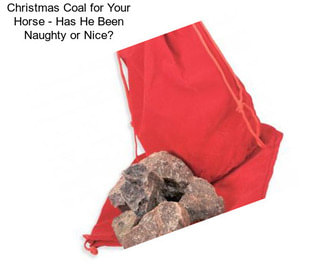 Christmas Coal for Your Horse - Has He Been Naughty or Nice?