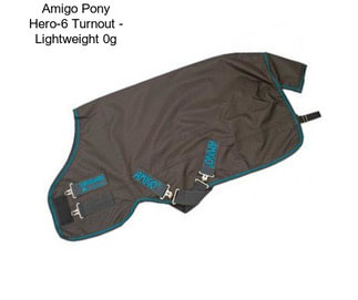 Amigo Pony Hero-6 Turnout - Lightweight 0g