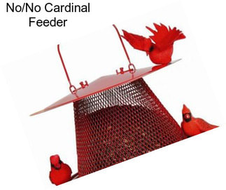 No/No Cardinal Feeder