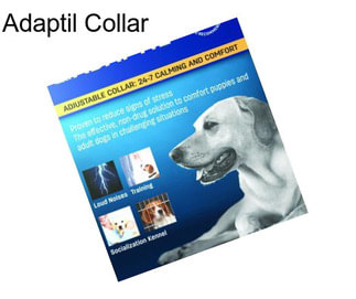 Adaptil Collar