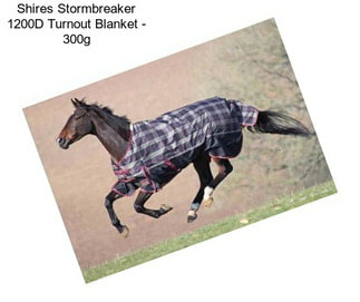 Shires Stormbreaker 1200D Turnout Blanket - 300g