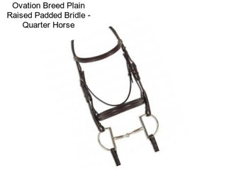 Ovation Breed Plain Raised Padded Bridle - Quarter Horse