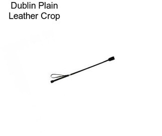 Dublin Plain Leather Crop