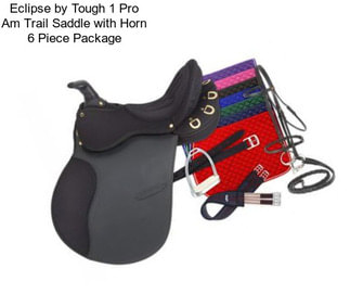 Eclipse by Tough 1 Pro Am Trail Saddle with Horn 6 Piece Package