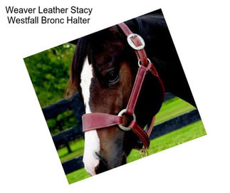 Weaver Leather Stacy Westfall Bronc Halter