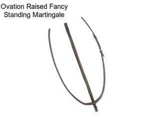 Ovation Raised Fancy Standing Martingale