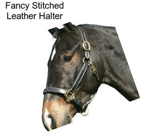 Fancy Stitched Leather Halter