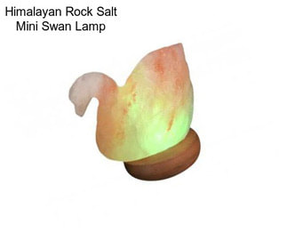 Himalayan Rock Salt Mini Swan Lamp