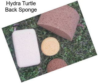 Hydra Turtle Back Sponge